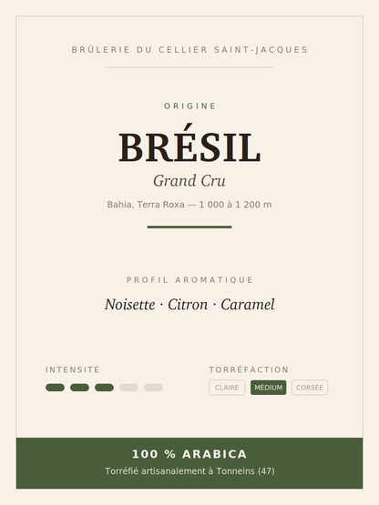 Fiche du café Brésil Grand Cru : Bahia, altitude, profil aromatique, intensité et torréfaction